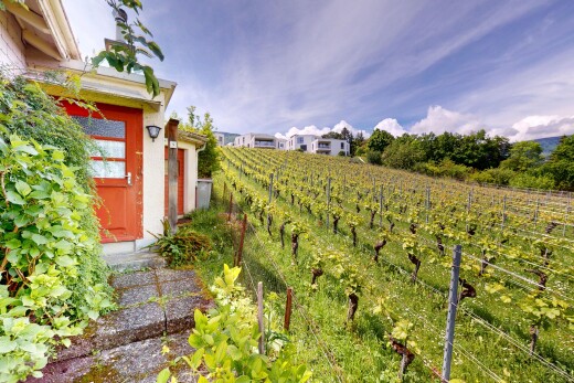 garten mit blick auf obstgarten/agrarland, orchard / agricultural view, zaun, ländliche aussicht, und rural view
