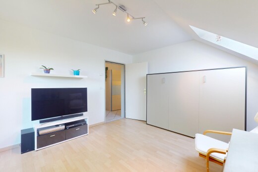 salon avec télévision, puits de lumière, inside property, sol en finition bois, et wood finish floor