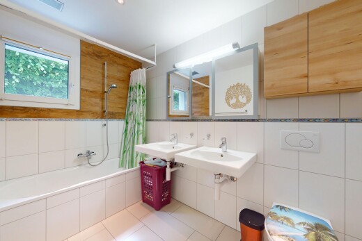 bad mit spiegel, kombiniertes bad / dusche, natürliches licht, natural light, und tile tub