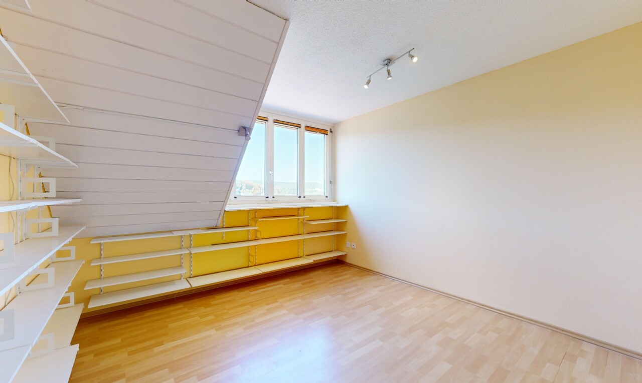 leerer raum mit deckenbeleuchtung, zusätzliches zimmer, holzfußboden, wood finish floor, und gipskartonwand