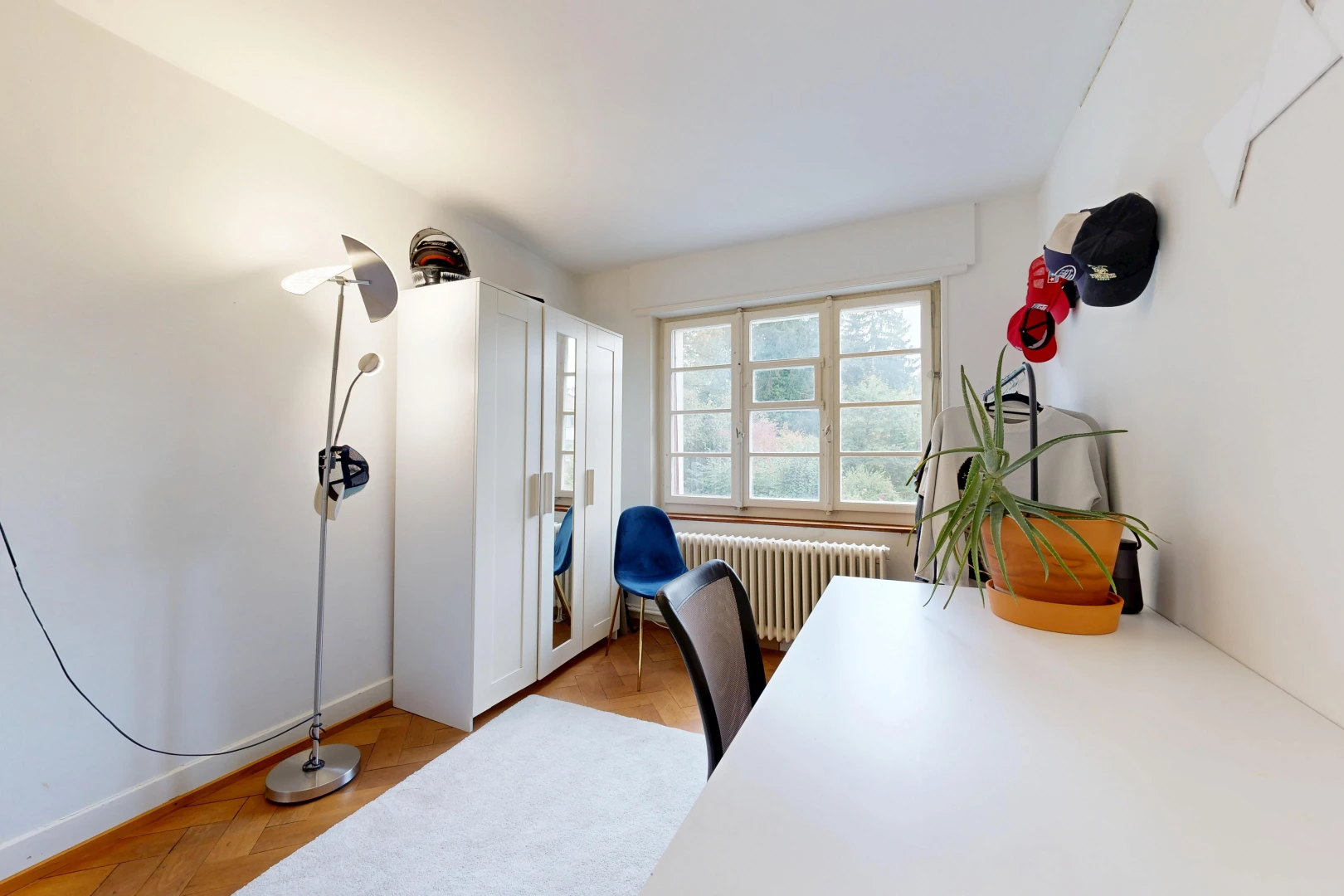 bureau avec radiateur, drywall, cloison sèche, wood finish floor, et sol en finition bois
