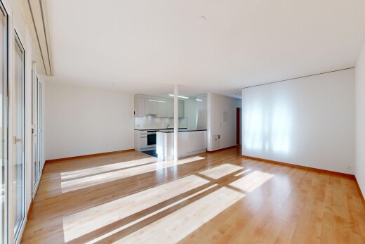 salon avec sol en finition bois, wood finish floor, inside property, cloison sèche, et drywall