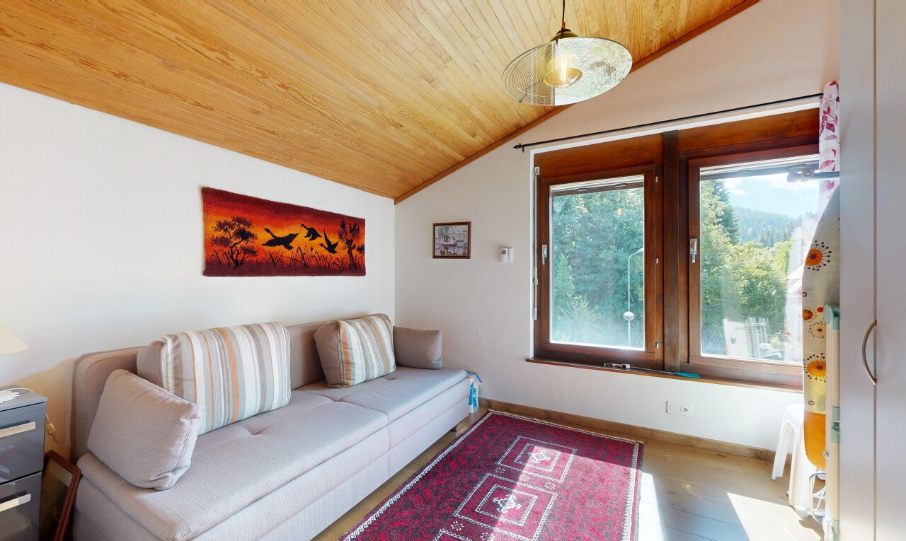 salon avec plafond voûté, vaulted ceiling, plafond en bois, wood ceiling, et cloison sèche
