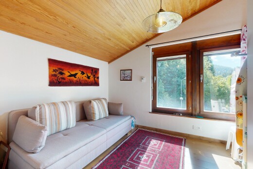 salon avec plafond voûté, vaulted ceiling, plafond en bois, wood ceiling, et cloison sèche