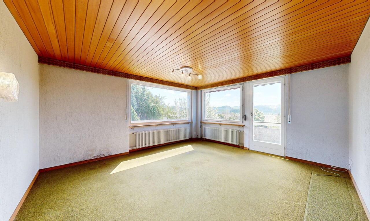 pièce vide avec lumière naturelle, natural light, plafond en bois, wood ceiling, et plinthes murales