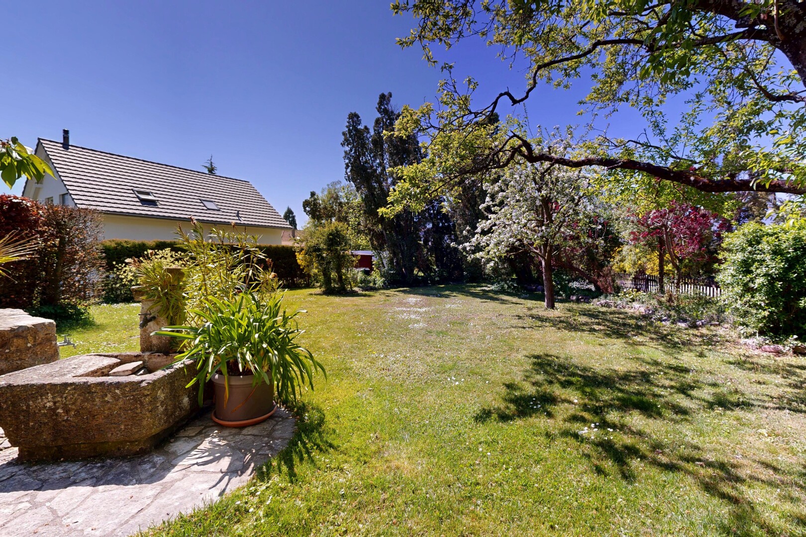 jardin avec pelouse et day time