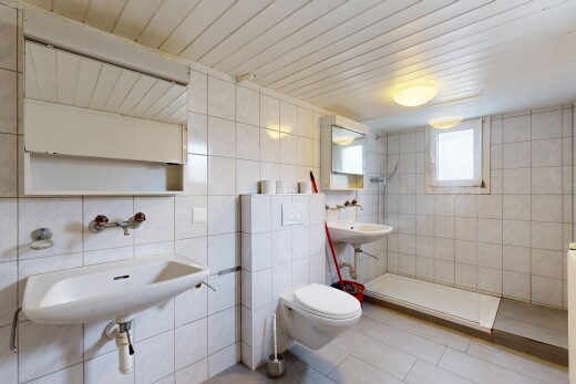 bad mit spiegel, tile wall, fliesenwand, dusche, und natural light