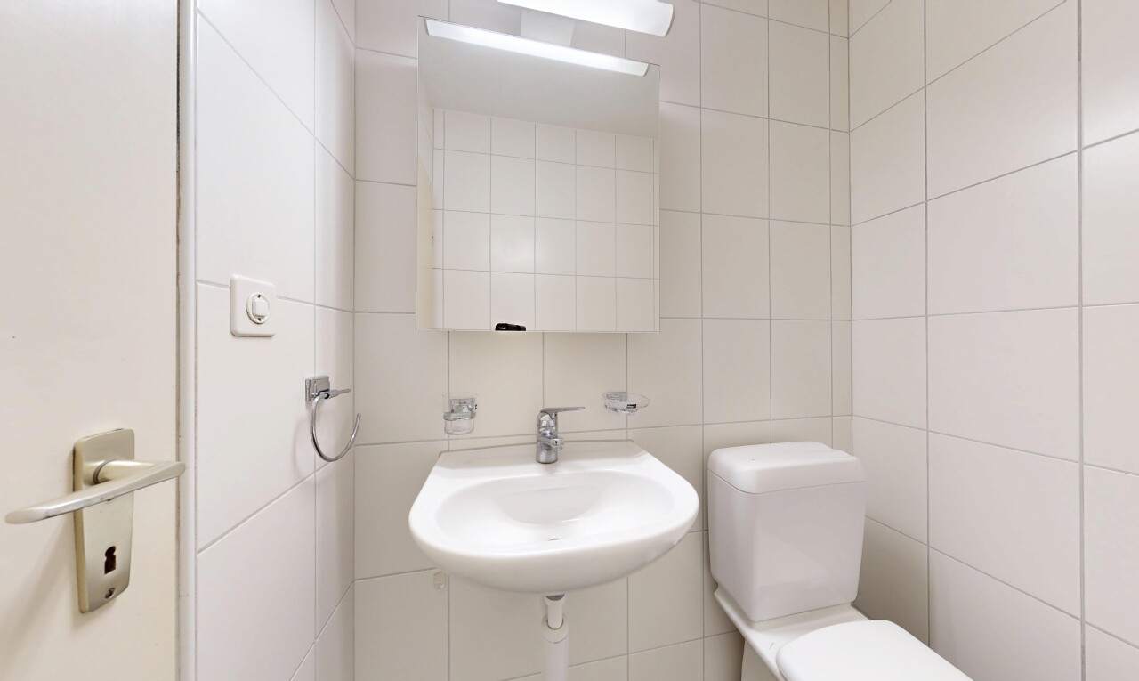 bad mit gäste-wc, toilette, spiegel, fliesenwand, und tile wall