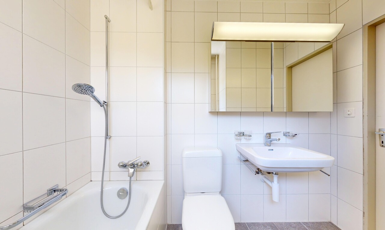 bad mit spiegel, komplettes badezimmer, toilette, kombiniertes bad / dusche, und waschbecken