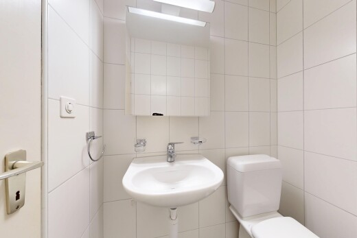 bad mit gäste-wc, toilette, spiegel, fliesenwand, und tile wall