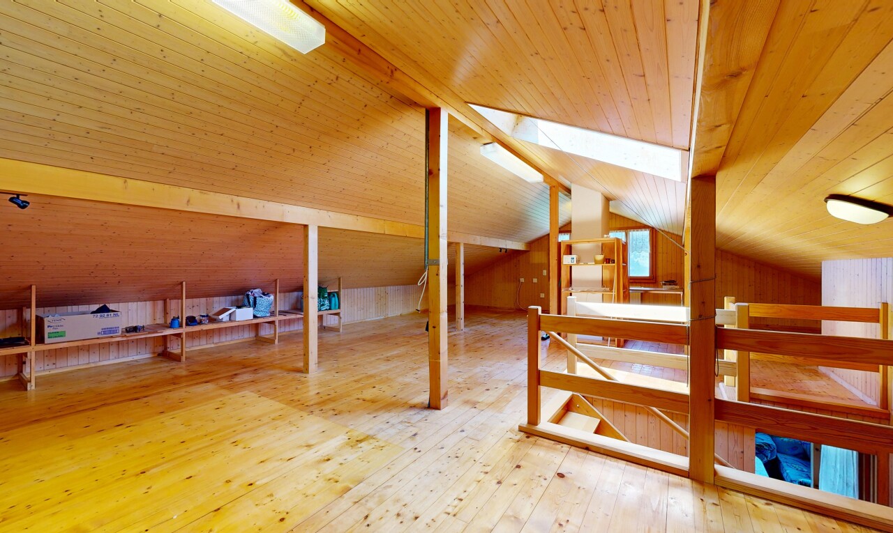 treppe mit low ceiling, niedrige decke, dachfenster, hardwood floor, und wood finish floor
