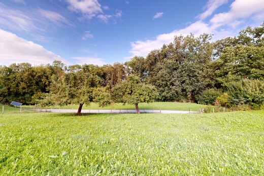 garten mit rasen und day time