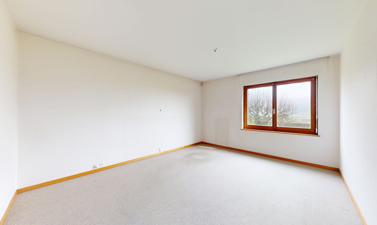 pièce vide avec carpet, moquette, drywall, cloison sèche, et baseboards wall