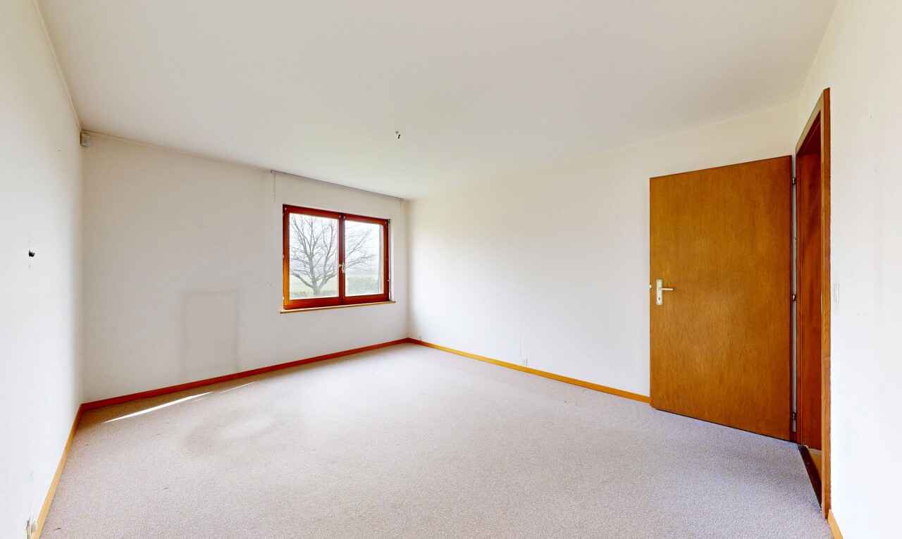 pièce vide avec moquette, carpet, cloison sèche, drywall, et lumière naturelle