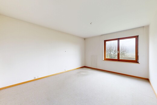 pièce vide avec carpet, moquette, drywall, cloison sèche, et baseboards wall
