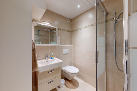 bad mit dusche, spiegel, schminktisch, fliesenwand, und toilette