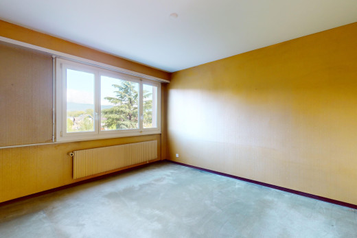 leerer raum mit natürliches licht, kühler, und teppich