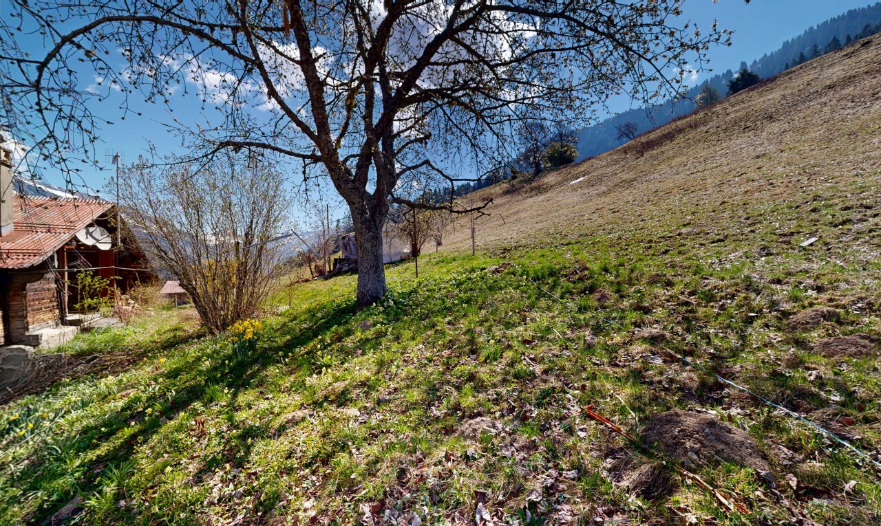 vue sur la montagne avec day time