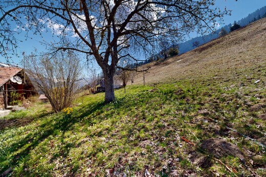 vue sur la montagne avec day time