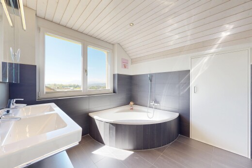 salle de bains avec natural light, lumière naturelle, day time, vaulted ceiling, et plafond voûté