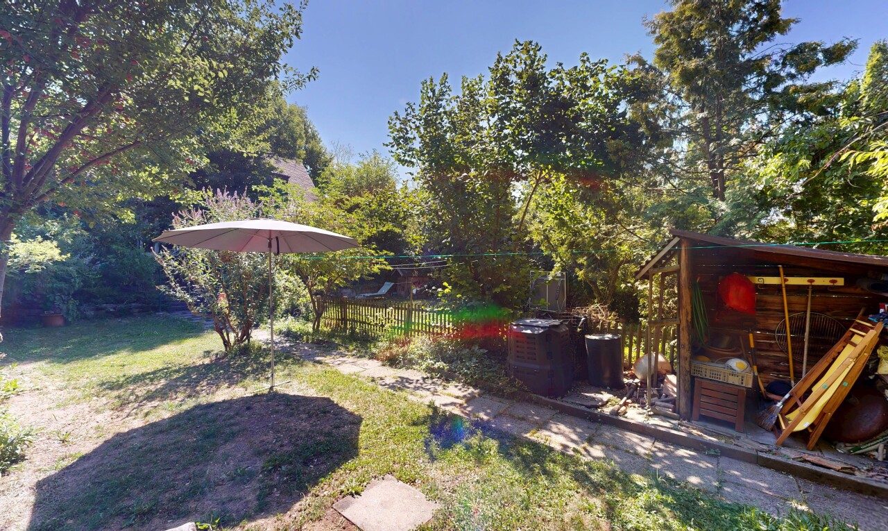 garden with a lawn