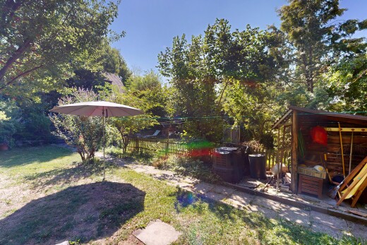garden with a lawn