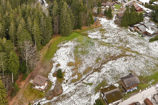garten mit waldblick