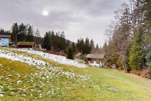 garten mit rasen und waldblick