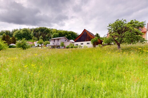 garten mit scheune, overcast, property visible, und außenansicht