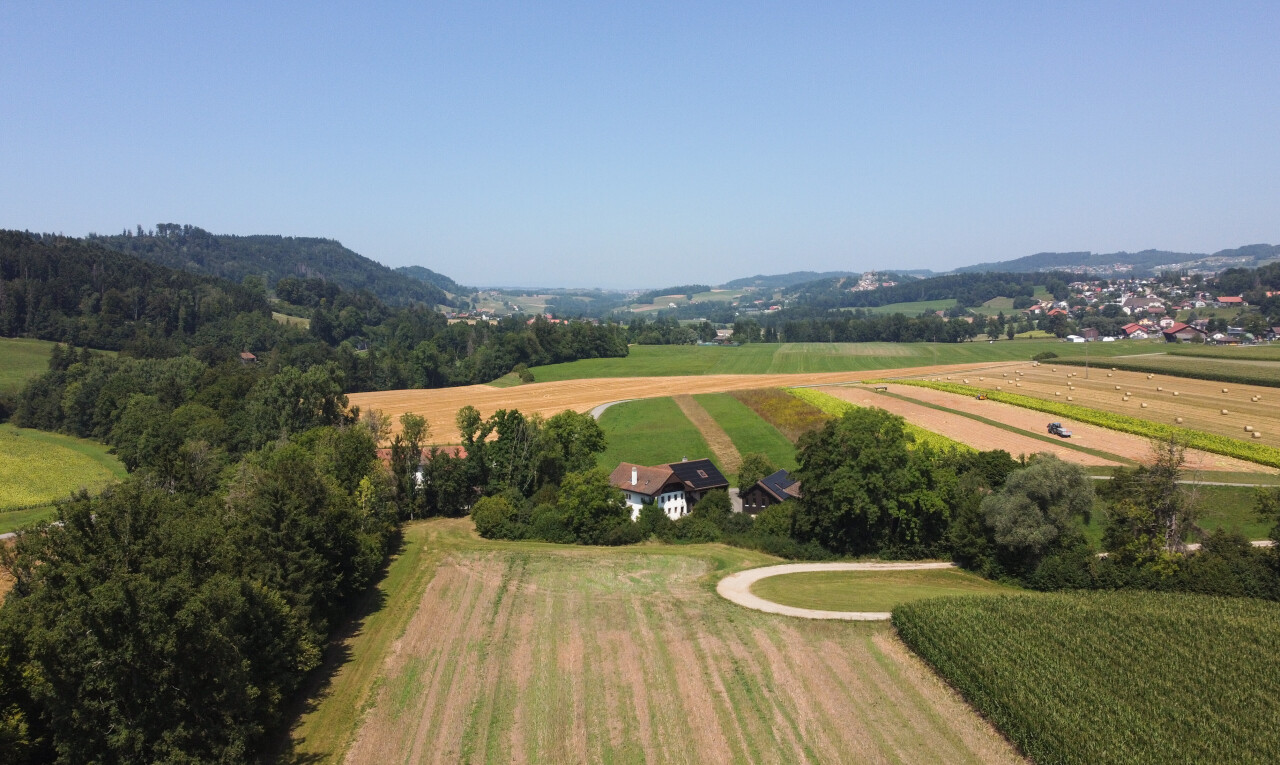 vue sur la montagne avec vue rurale, rural view, day time, et property visible