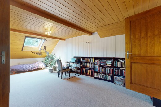 office space with carpet floors, wooden ceiling, a skylight, and wooden walls
