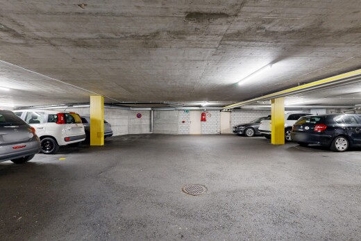 parken mit parkgarage