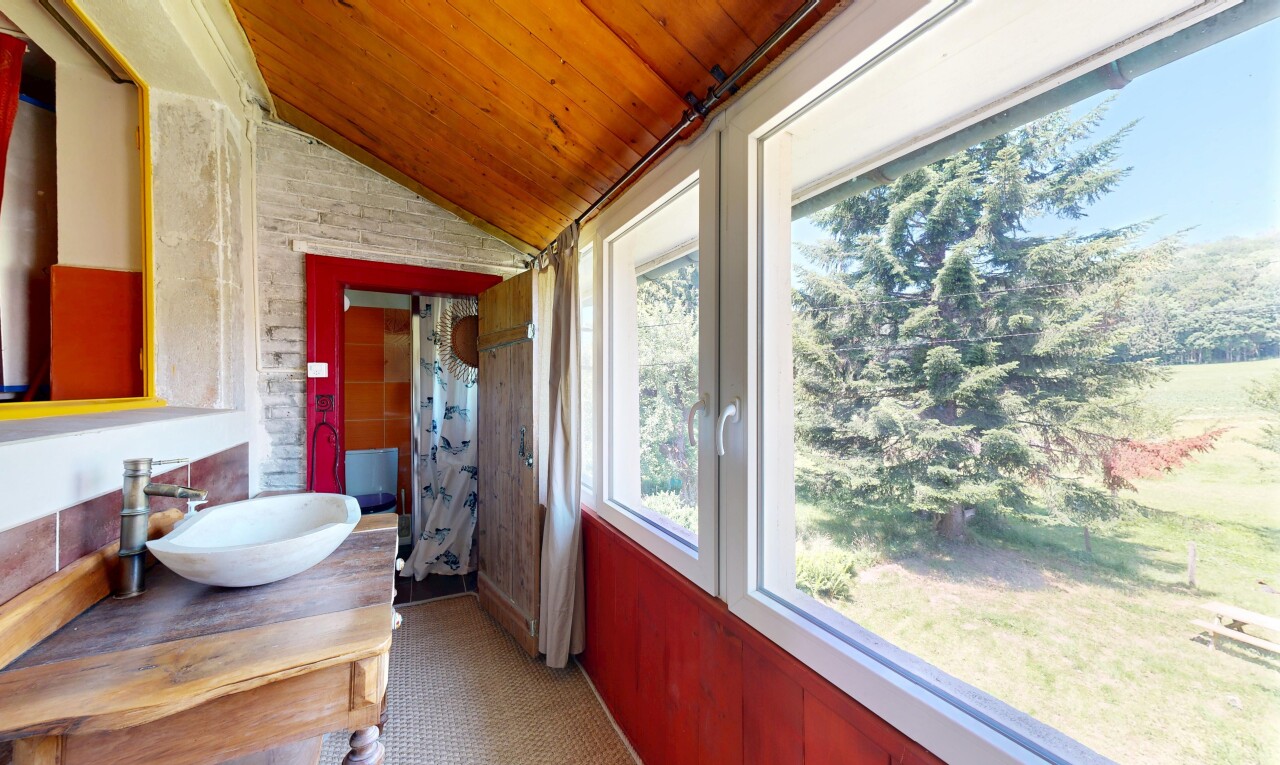 salle de bains avec plafond voûté, vaulted ceiling, évier, lumière naturelle, et natural light