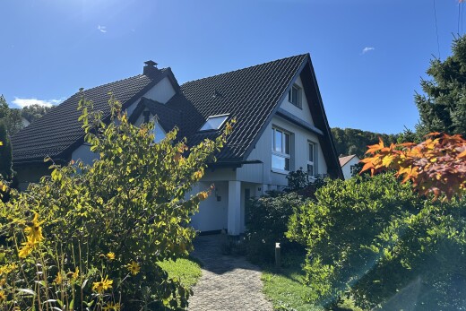 außenansicht mit property visible, schornstein, day time, und vertikale verkleidung