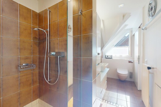 bad mit natürliches licht, komplettes badezimmer, toilette, und dusche