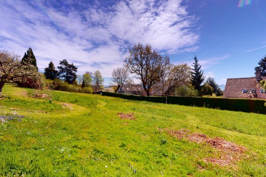 jardin avec day time et pelouse