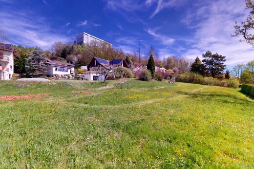 jardin avec pelouse et day time