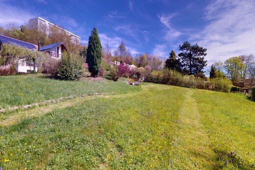 jardin avec pelouse et day time