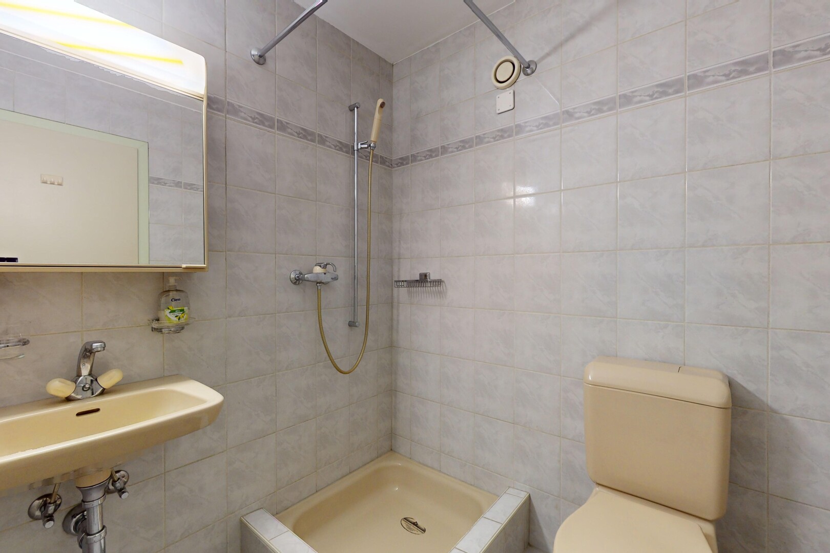 salle de bains avec douche, miroir, vasque, mur carrelé, et toilettes