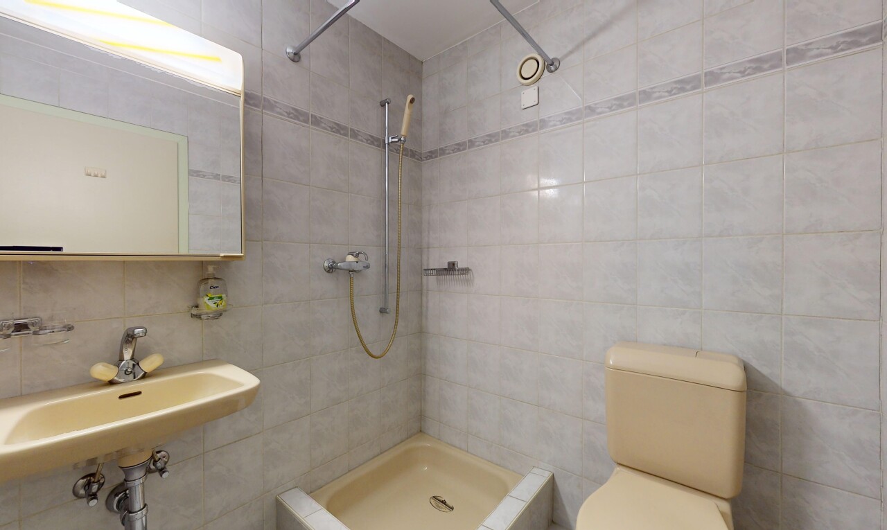 salle de bains avec douche, miroir, vasque, mur carrelé, et toilettes