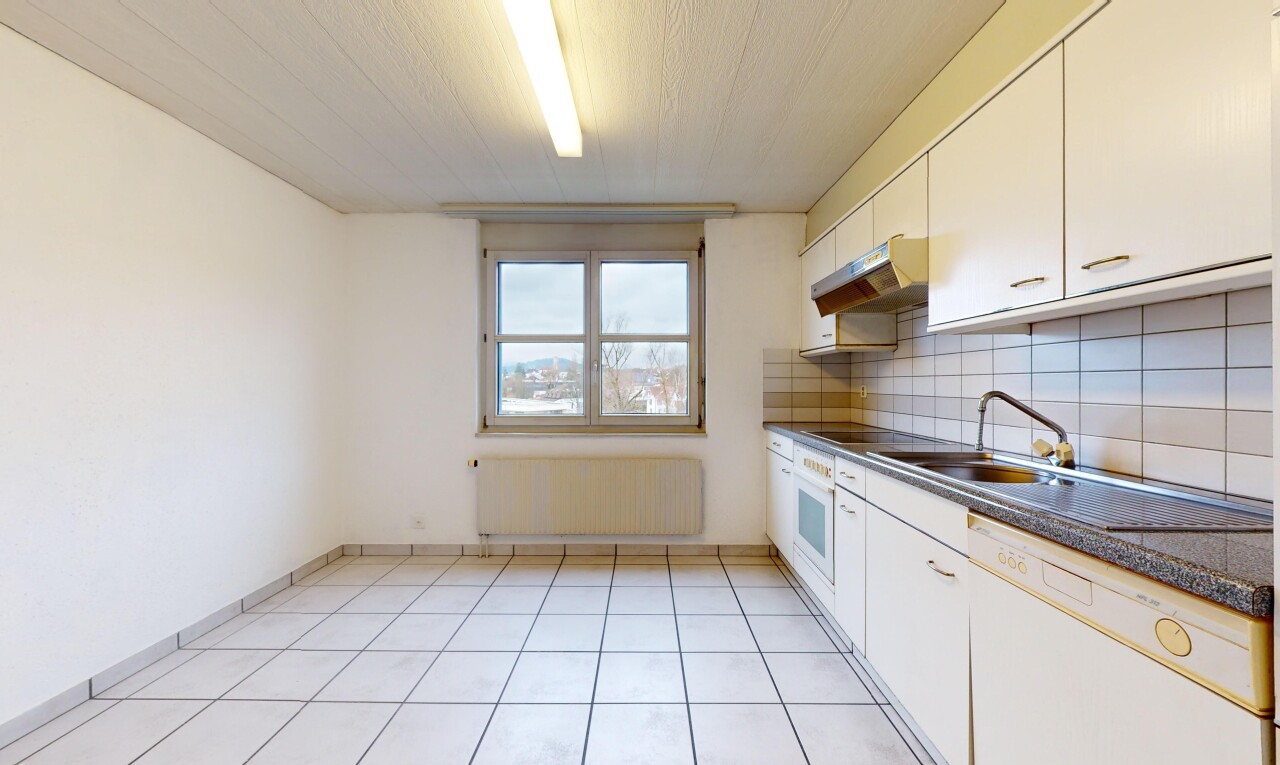 cuisine avec radiateur, plan de travail, crédence, hotte, et lave-vaisselle