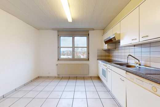 cuisine avec radiateur, plan de travail, crédence, hotte, et lave-vaisselle