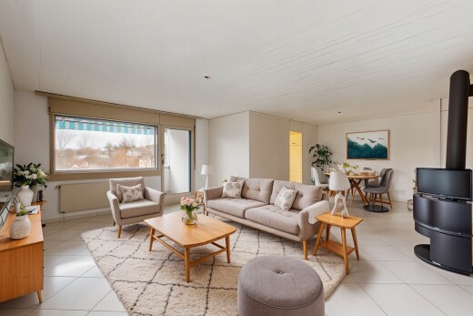 salon avec lumière naturelle, carrelage, télévision, et poêle à bois