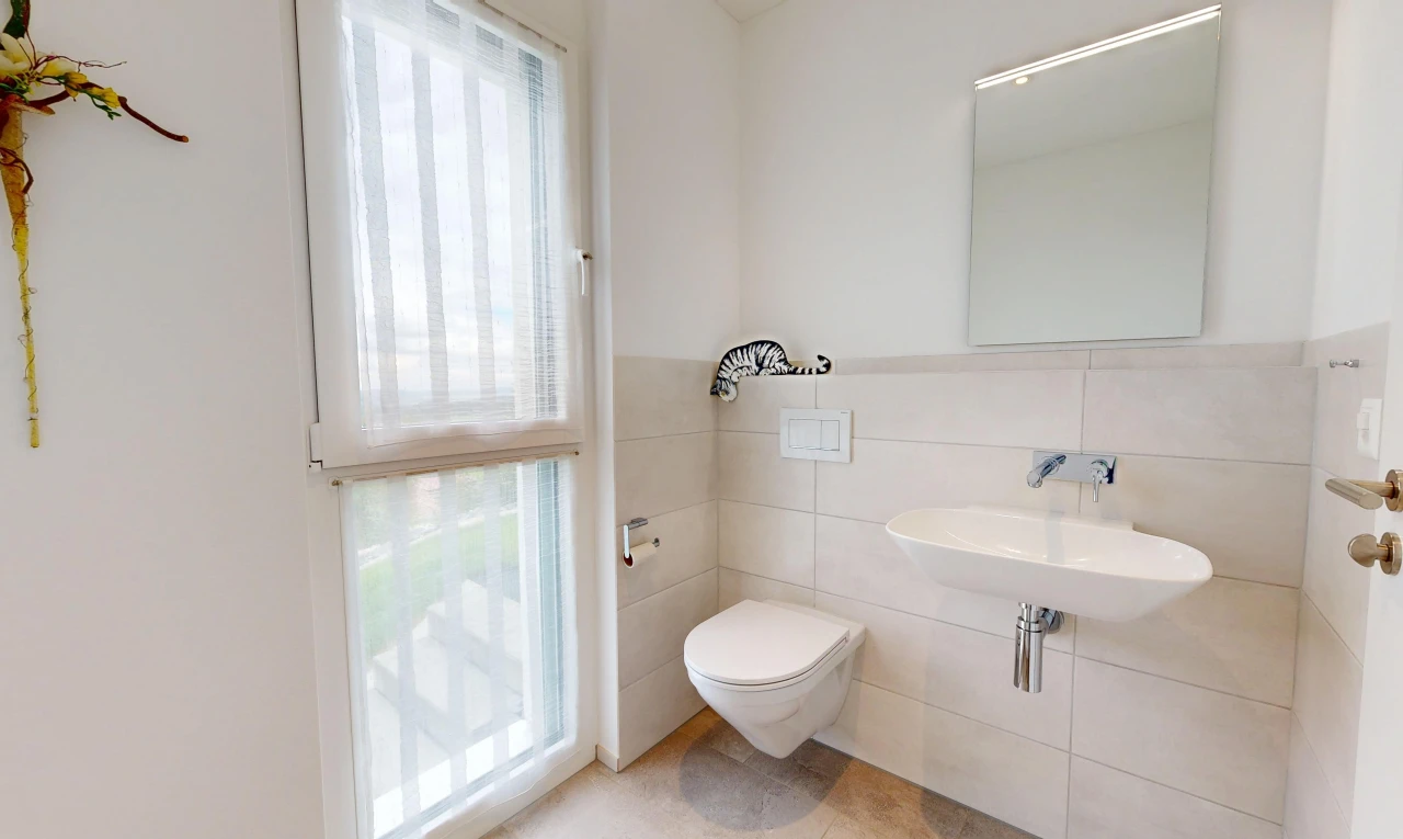 bad mit spiegel, inside property, gipskartonwand, drywall, und gäste-wc