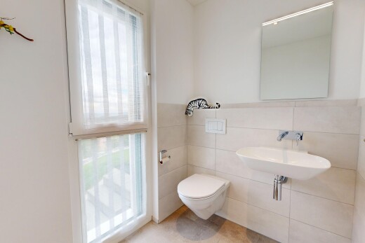 bad mit spiegel, inside property, gipskartonwand, drywall, und gäste-wc