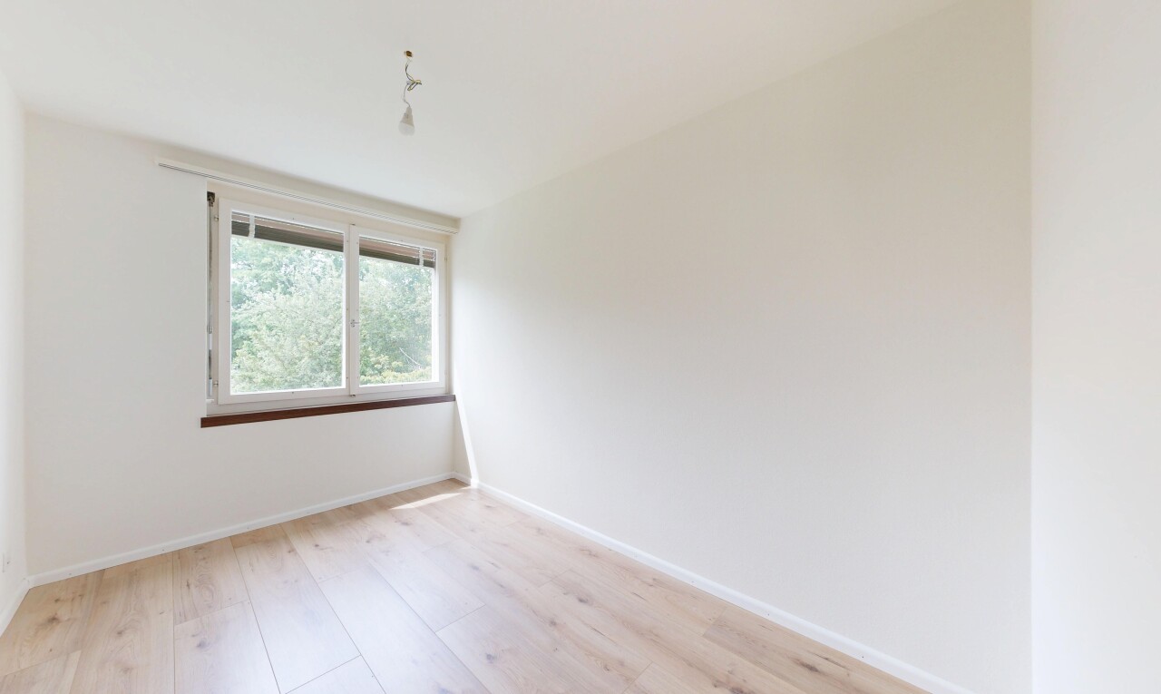 leerer raum mit holzfußboden, wood finish floor, inside property, light floor, und gipskartonwand