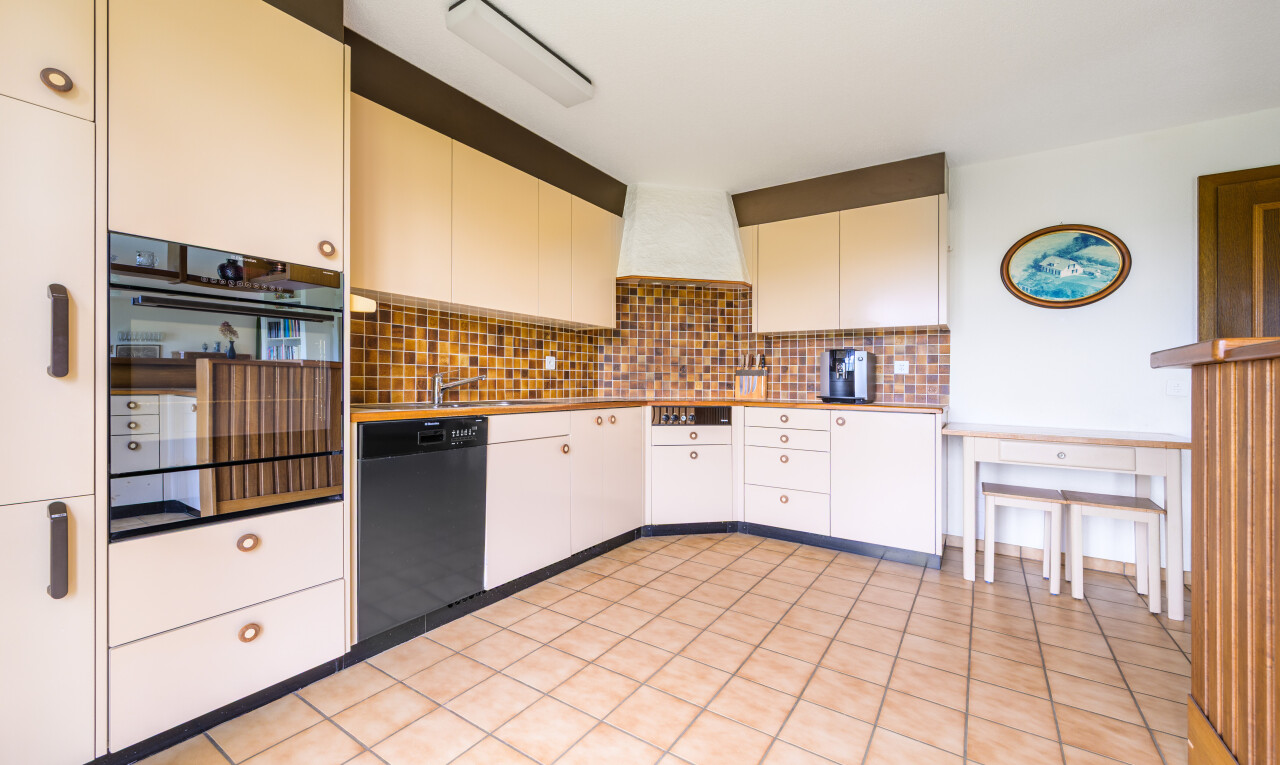 küche mit geschirrspülmaschine, dunstabzugshaube, ofen, küchenrückwand beim herd, und küchenrückwand beim Herd