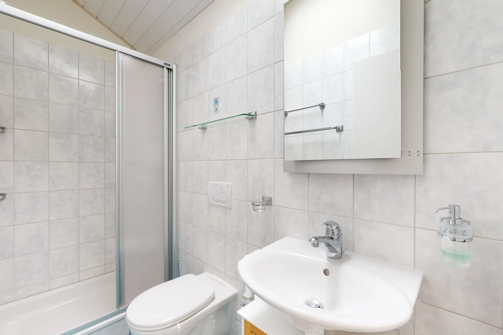 salle de bains avec douche, miroir, porte de douche, vasque, et toilettes