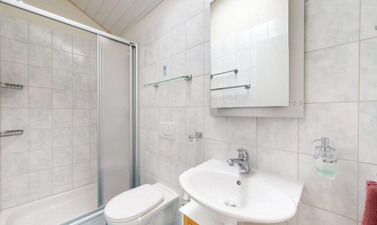 salle de bains avec douche, miroir, porte de douche, vasque, et toilettes