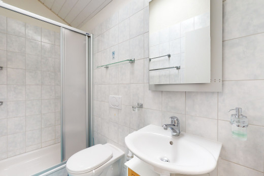 salle de bains avec douche, miroir, porte de douche, vasque, et toilettes
